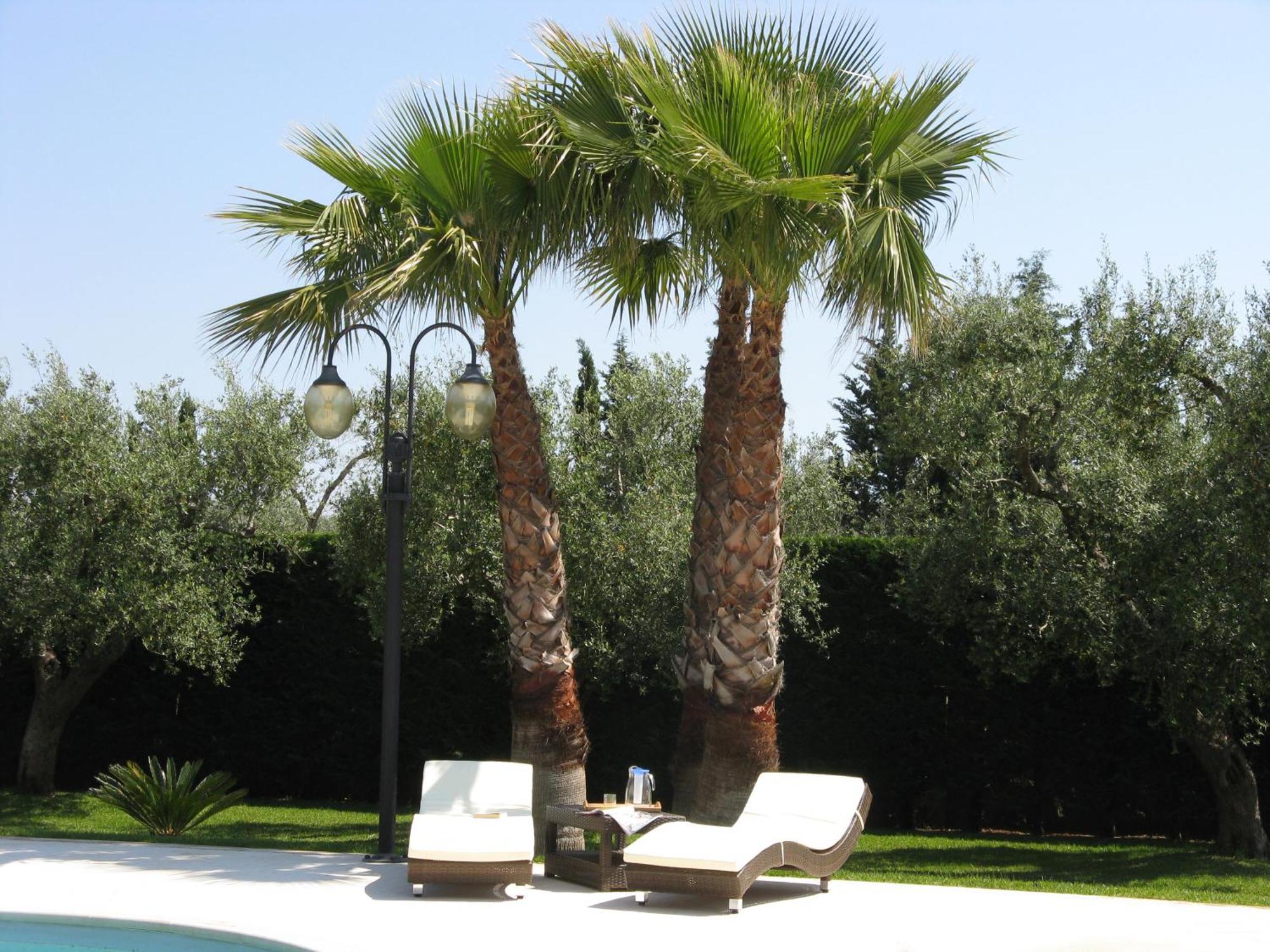 B&B Villa Vittoria Μάλιε Εξωτερικό φωτογραφία