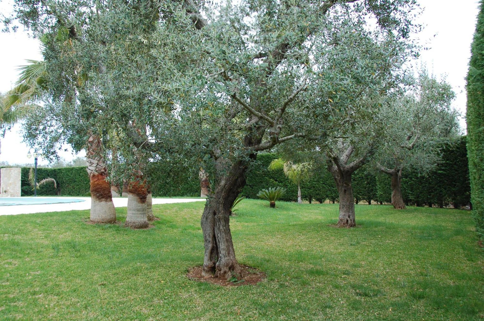 B&B Villa Vittoria Μάλιε Εξωτερικό φωτογραφία